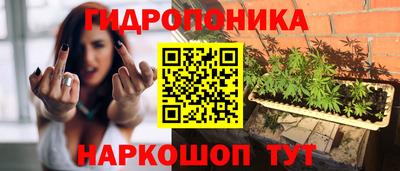 МДПВ Кандалакша