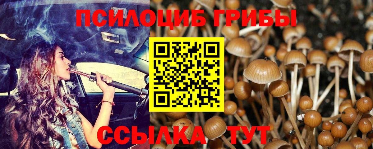 Галлюциногенные грибы GOLDEN TEACHER  Вход с VPN  Биробиджан 